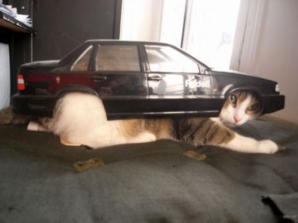 2012051416.jpg