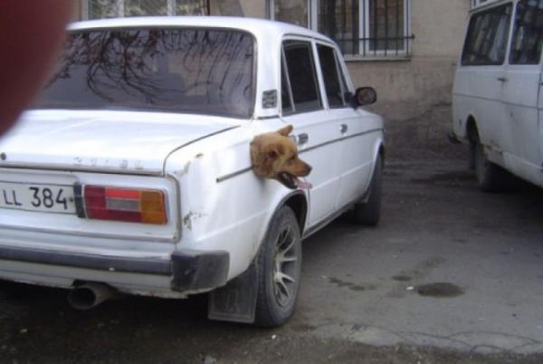 2012051422.jpg