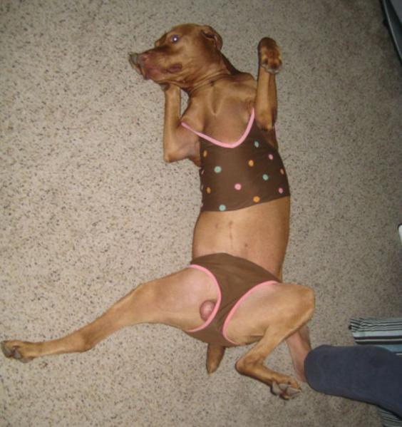 2012051435.jpg