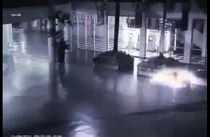 宇宙人?幽霊?大きな翼を持った人型の光