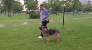 犬の糞を処理しない飼い主の背中に糞をベチョ~!
