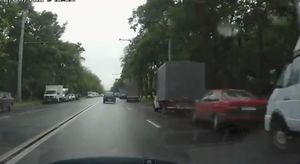 住宅街の道路にヘラジカが・・・!