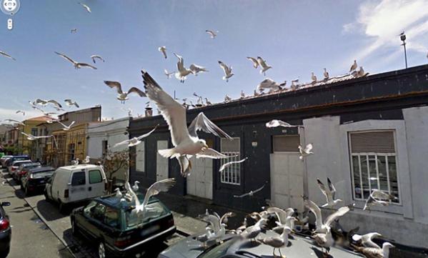 2012091307.jpg