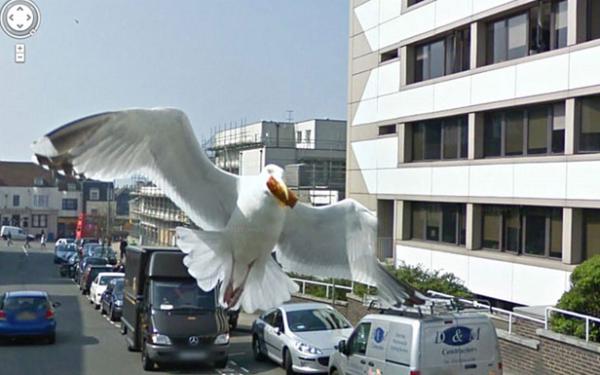 2012091321.jpg