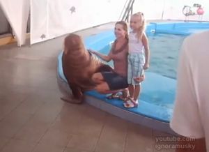 【スケベ】痴漢するよう仕込まれているセイウチ
