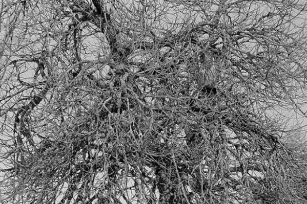 20121014a06.jpg