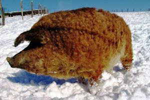 20121226-14-thumb.jpg