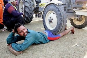 olimpiada_indiethumb.jpg
