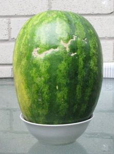 thumb_20120726151632.jpg