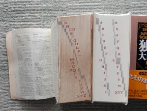 ddw05.jpg