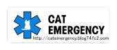 cat_emergency.jpg