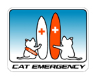 cat_emergency2.jpg