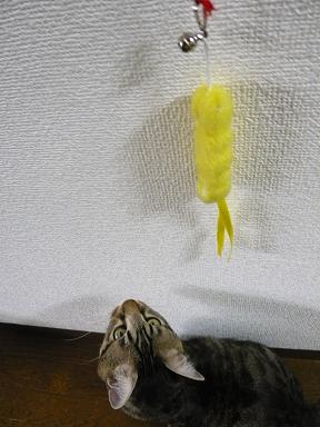 けむし