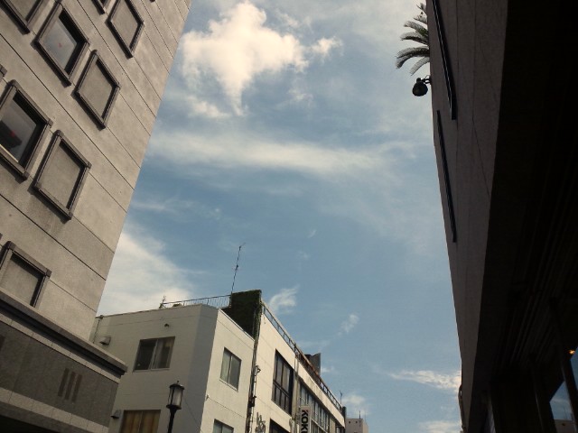 DSC_0016_20120908130803.jpg