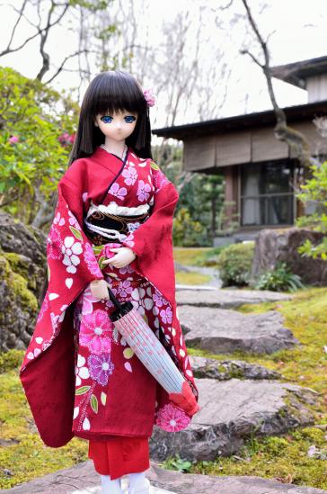 DSC_6887.jpg
