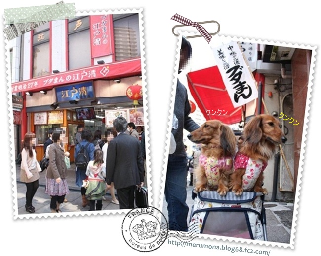 20120425-1.jpg