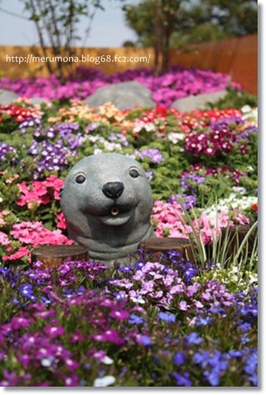 20120425-13.jpg