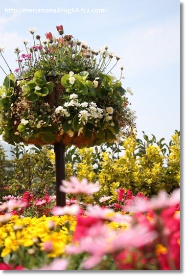 20120425-22.jpg