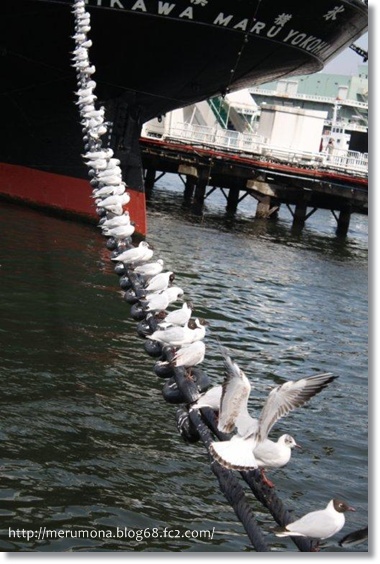 20120425-3.jpg