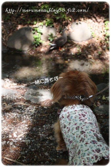 20120504-9.jpg