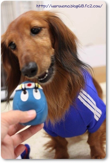 20120602-9.jpg