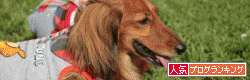 20120612-00.gif