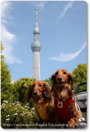 20120621-12.jpg