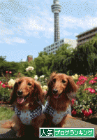 20120627-00.gif