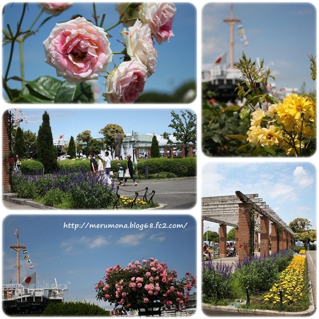 20120627-2.jpg