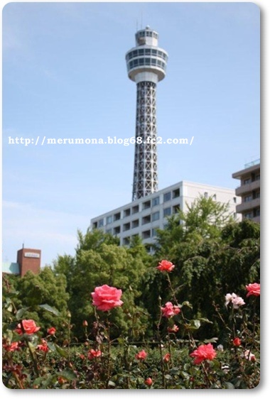 20120709-2.jpg