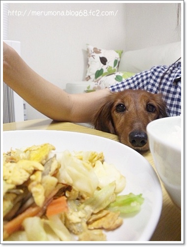 20120815-4.jpg
