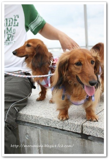 20120828-14.jpg
