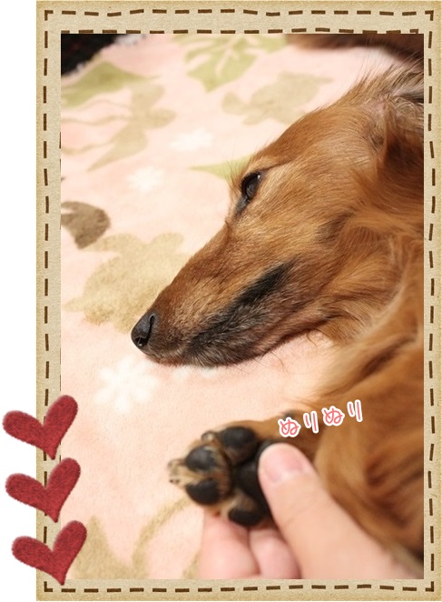 20140127-4.jpg
