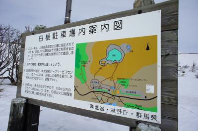 s-草14