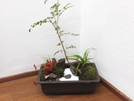 飾りました