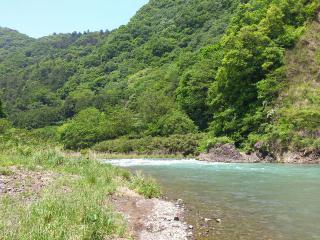 BBQ120519-2.jpg