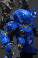 ケンプファー5.jpg