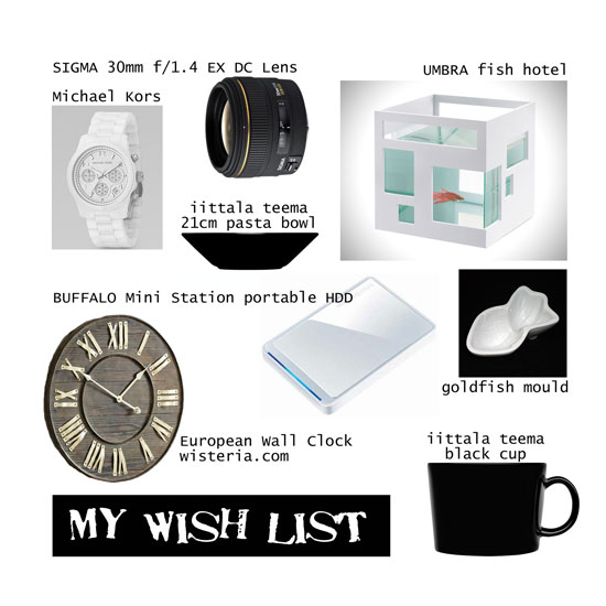my wish list