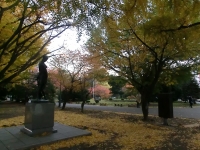 旧北海道庁舎紅葉01