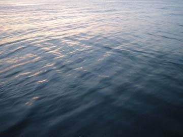 はじめてのボイル 08 07 Sun 思い出の釣行 三河湾マダカ釣りblog
