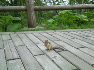20120829_202503.jpg