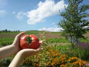 20120830_222726.jpg