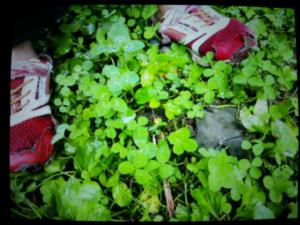 20120830_232301.jpg