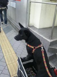 20121010_130931.jpg