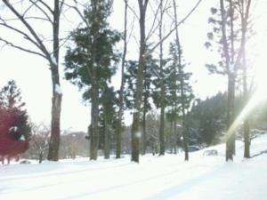 20130117_163942.jpg