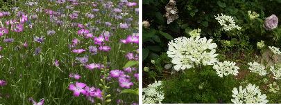 20130521_8.jpg