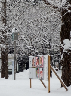 s-001_20121214203736.jpg