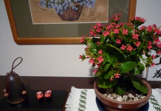 s-001_20121224224303.jpg