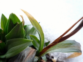 s-001_20121224224845.jpg