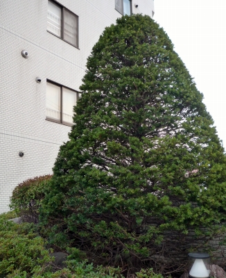 s-002_20121020103507.jpg